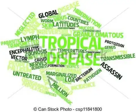 Carter Centre Celebrates 500m Treatments Of Tropical Diseases ?
